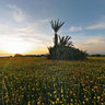 Ashkelon Park