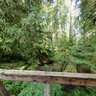 Footbridge