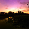 Shenzhen honghu park lotus pond of the darkness of the night