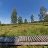 Roetgen / Rott - Nature-Sanctuary Struffelt - Boardwalk