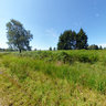 Roetgen / Rott - Nature-Sanctuary Struffelt - Field of Fern