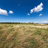 National Park Eifel - Wollseifen - Grassland - Former Military Training Ground Vogelsang - Germany