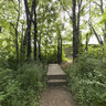 2011 06-25 Edwin Warner Park, Nashville, Tennessee