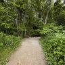 2011 06-25 Edwin Warner Park, Nashville, Tennessee