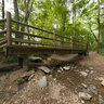 2011 06-25 Edwin Warner Park, Nashville, Tennessee