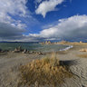 Tufa at Mono Lake beach