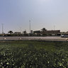 Model of the horeses مجسم الخيول