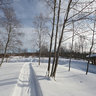 River Choga. Wooden sauna