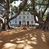 Árbol del Mora (Cádiz)
