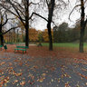 Bednarskiego Park