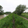 flood