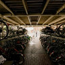 bikes in the Groeningen station