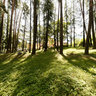 parco pubblico a Vipiteno - Südtirol