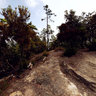 Belvedere su Sestri