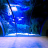 Tunnel all'Acquario di Milano