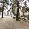 Tree Lined Mall in Cemetery