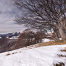 Le Alpi viste dalla Valle d'Intelvi