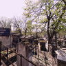 cimetière de Montmartre