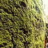 grotte di Rescia