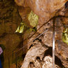 Grotte di Rescia