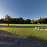 morning dew in Phoenix Park