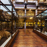 Natural History Museum