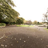 St.Stephen's Green