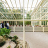 Greenhouse in Glasnevin National Botanic Gardens