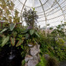 Curvilinear Range in National Botanic Gardens