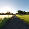 morning in Phoenix Park