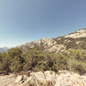 Aitone forest