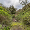 Entrance to the cave 