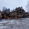 Poreche. Deforestation. (2010)