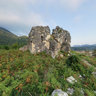 Bzyb. The ruins of medieval church-fortress. (2010)