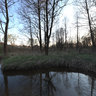 The river Ovsorok in village Sudimir (2009)