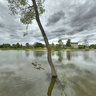 Fishing in Uvarovskoe (2009)