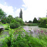 Park Criewen