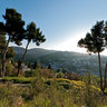 Bircat HaChama: Sun Blessing: Tzfat, Israel - Erev Pesach April 8, 2009