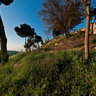 Bircat HaShemesh - The Sun Blessing - Tzfat Metzudah Israel