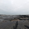 Mussel banks near Audresselles 
