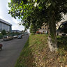 Sports Complex 