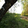 Between Shaidurovo and Bobrovskiy