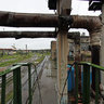 plant ZHBI 2