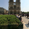 Place Du Parvis Notre Dame, Paris