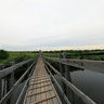 Suspension Bridge V Toima / Подвесной мост, Верхняя Тойма