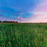 Sunset over field near Chkalovsky