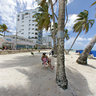 Playa Y Palmeras En San Andres Isla