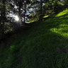 Schellschlicht