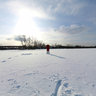 Field of snow