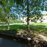 Konakovo - Wild pears grove